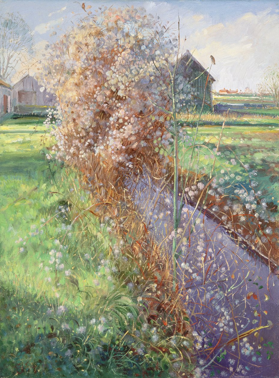 Skjeggete busk av Timothy Easton