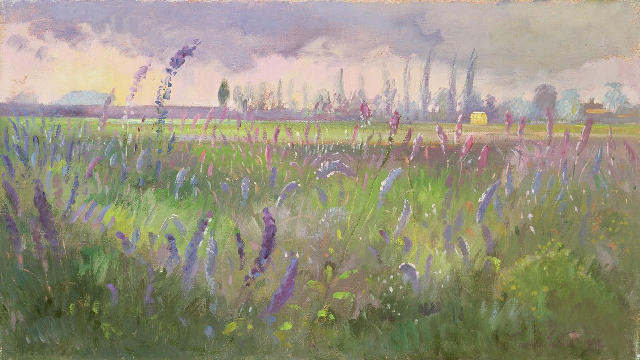 Delphiniums, Storm forbi, 1991 av Timothy Easton