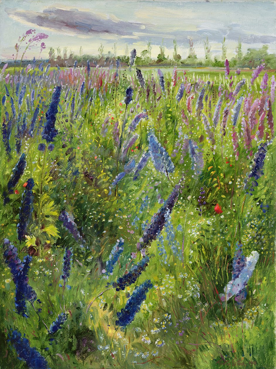 Delphiniums and Emerging Sun, 1991 av Timothy Easton