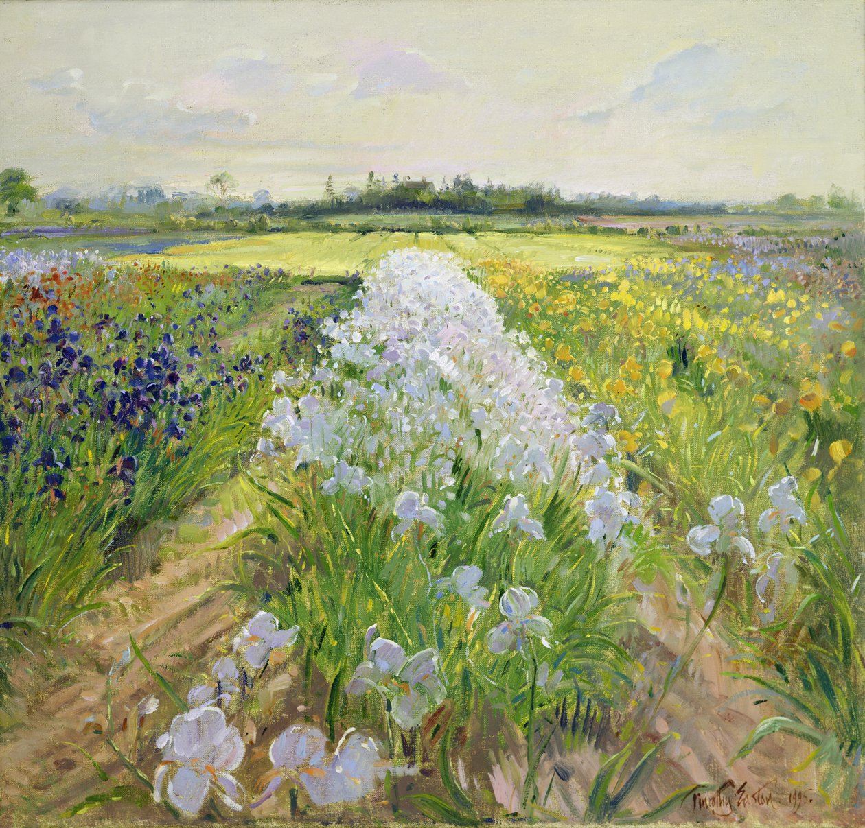 Down the Line, 1995 av Timothy Easton