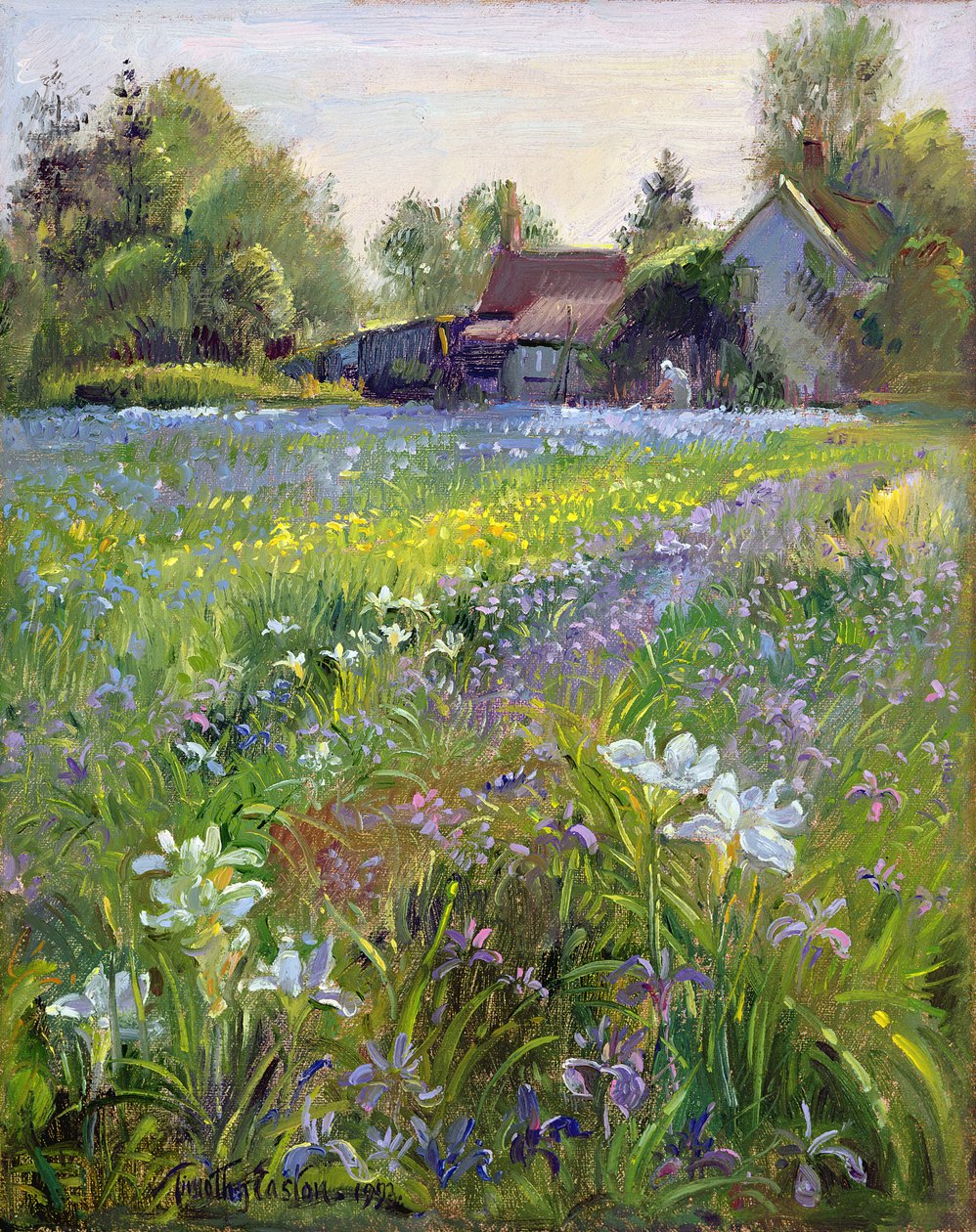 Dwarf Irises and Cottage, 1993 av Timothy Easton