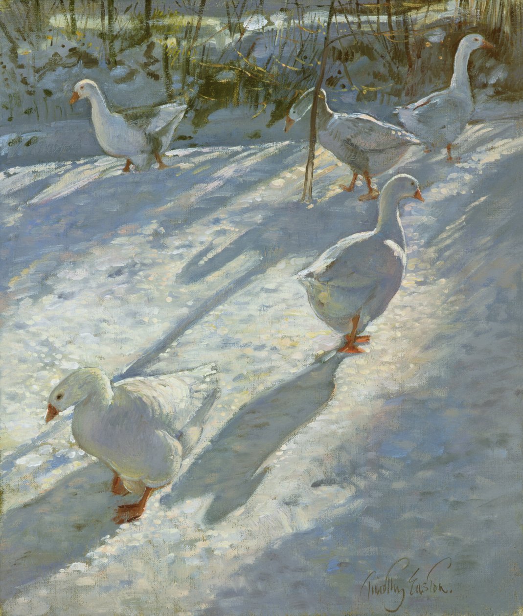 Utforske bakken av Timothy Easton