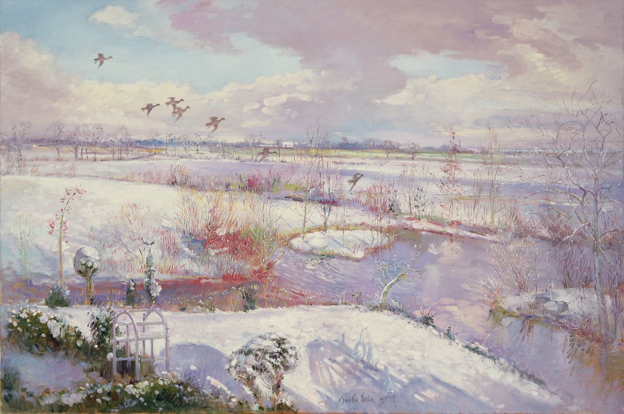 Flight Down, 1993 av Timothy Easton