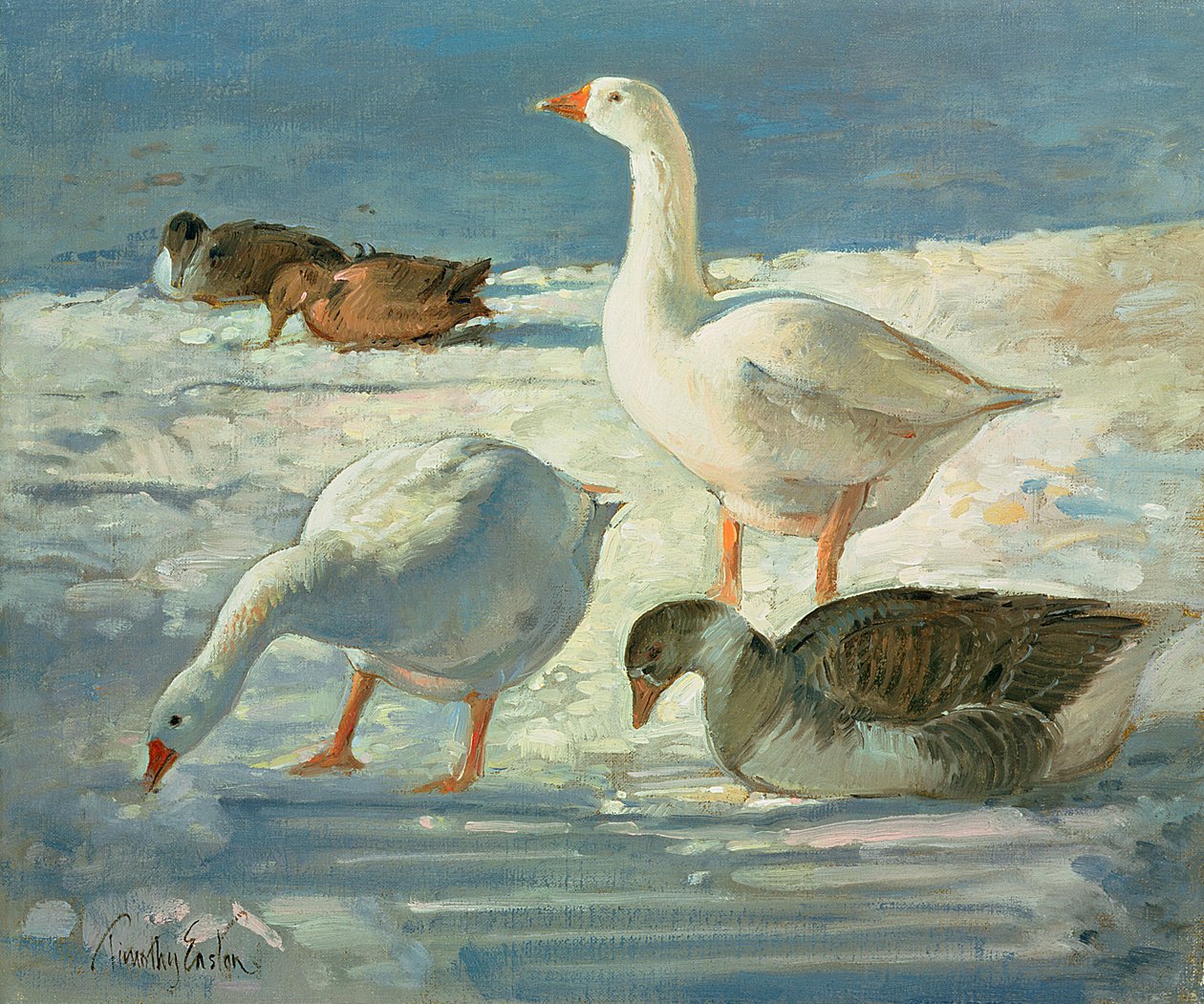 Gjess og stokkand, 2000 av Timothy Easton