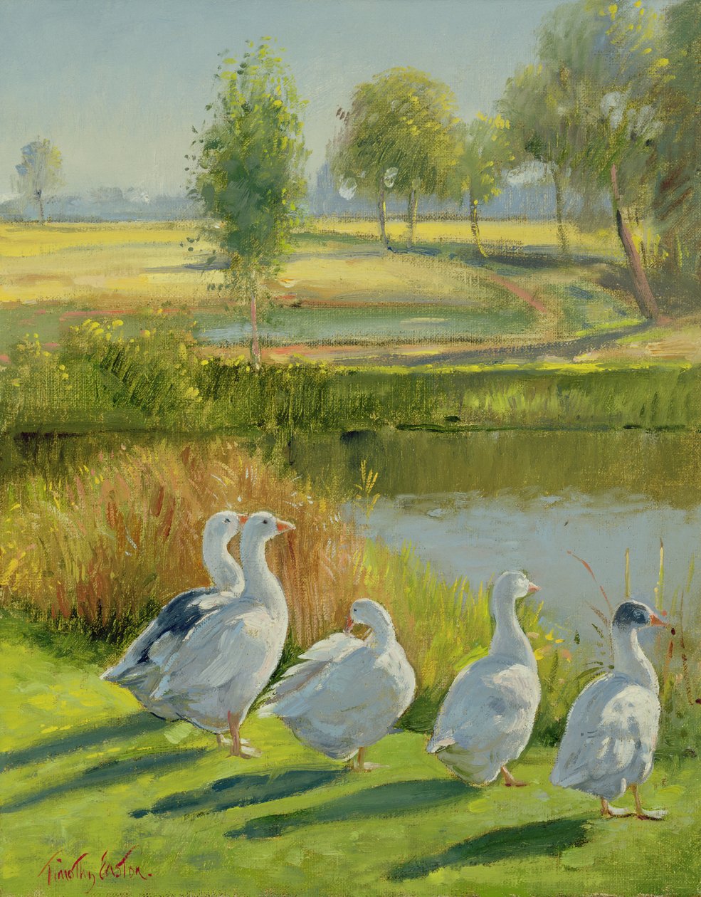 Gåsegard av Timothy Easton