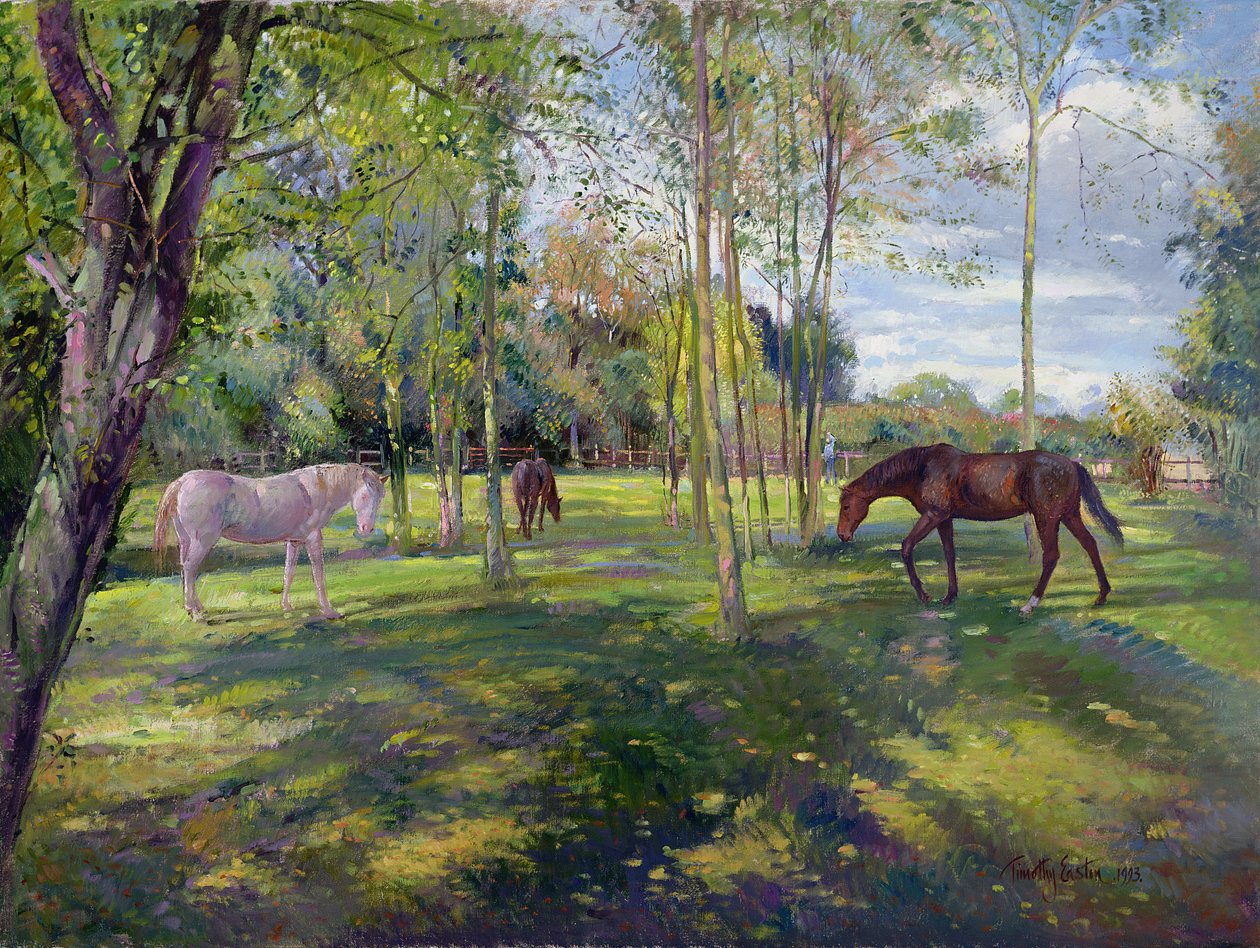 I Rectory Paddock, 1993 av Timothy Easton