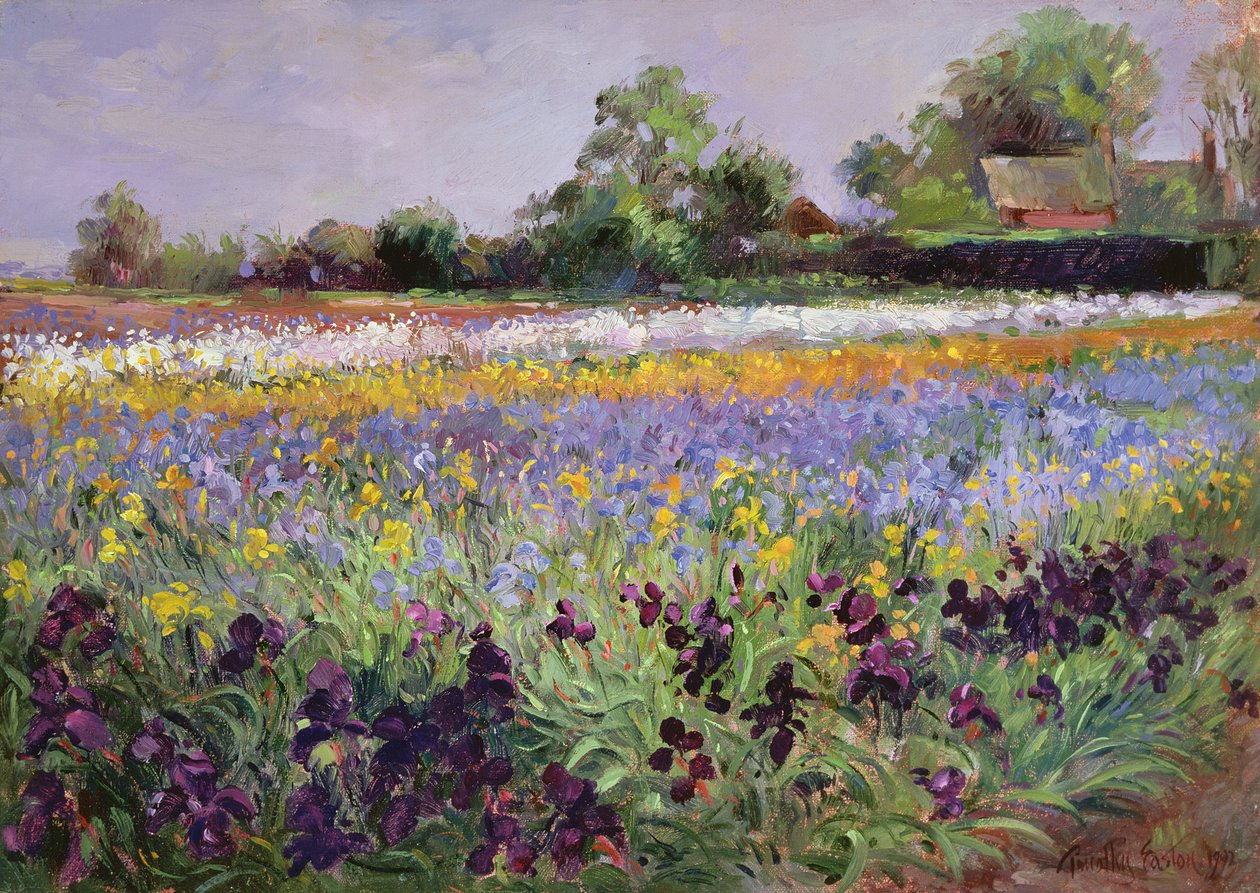 Iris Field og to hytter av Timothy Easton
