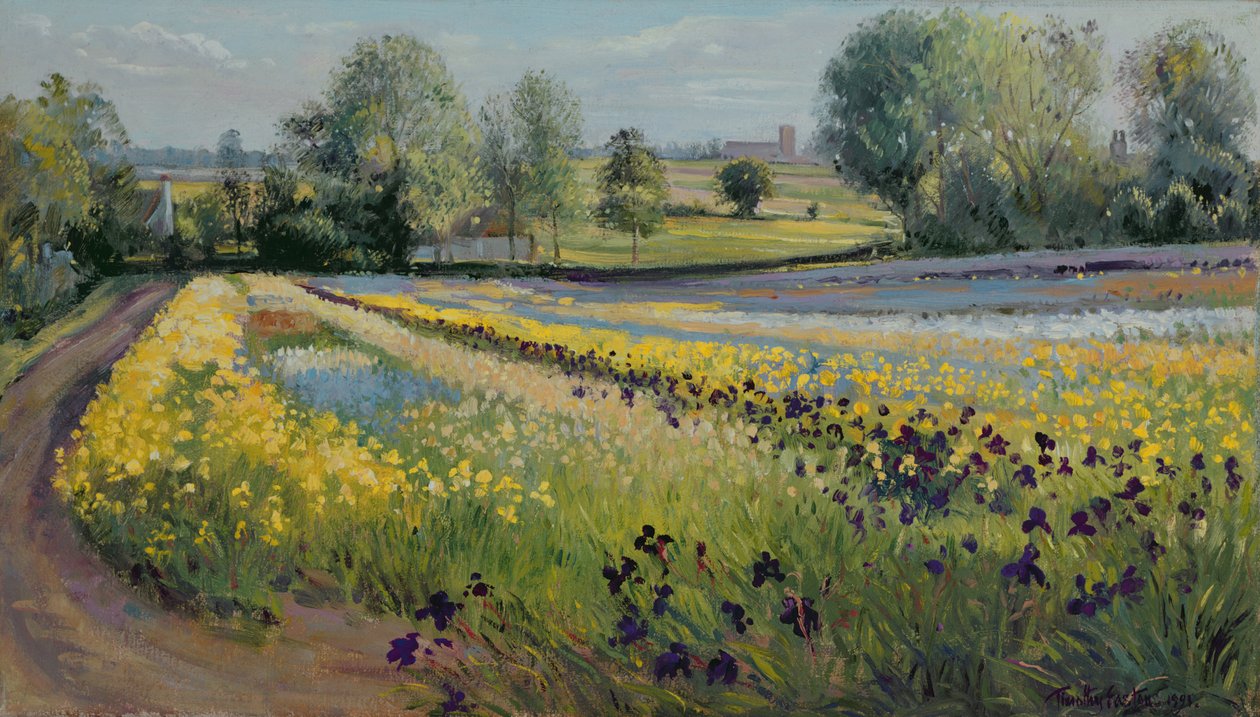Iris Slope, 1991 av Timothy Easton