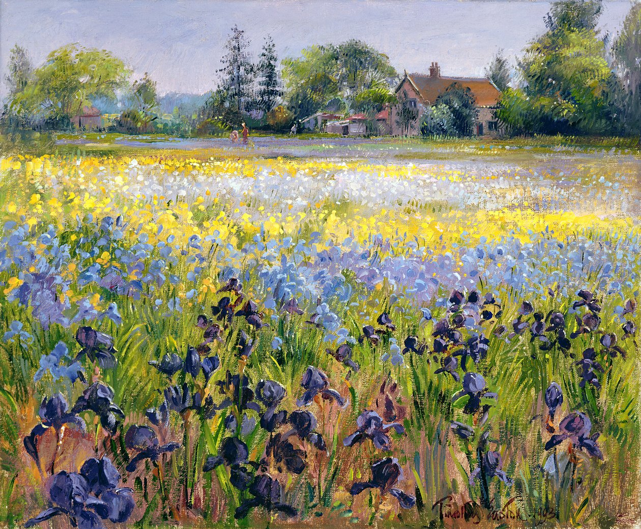 Iriser og to grantrær, 1993 av Timothy Easton