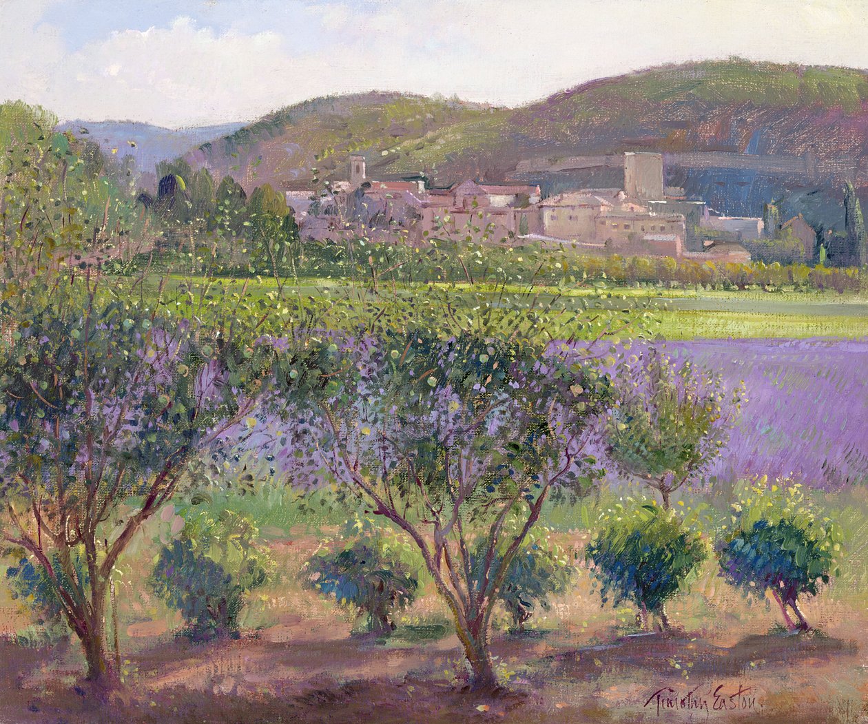 Lavendel sett gjennom kvedetrær, Monclus av Timothy Easton