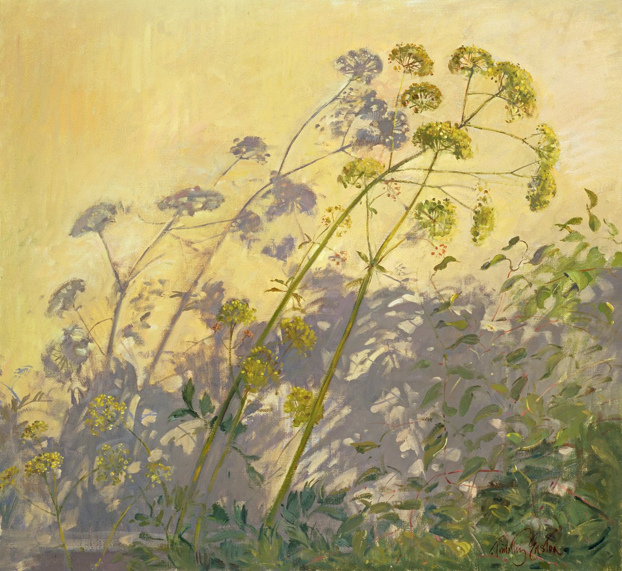 Lovage, Clematis and Shadows, 1999 av Timothy Easton