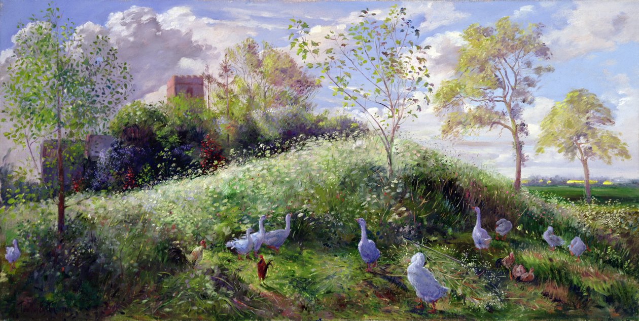 Monter i mai av Timothy Easton