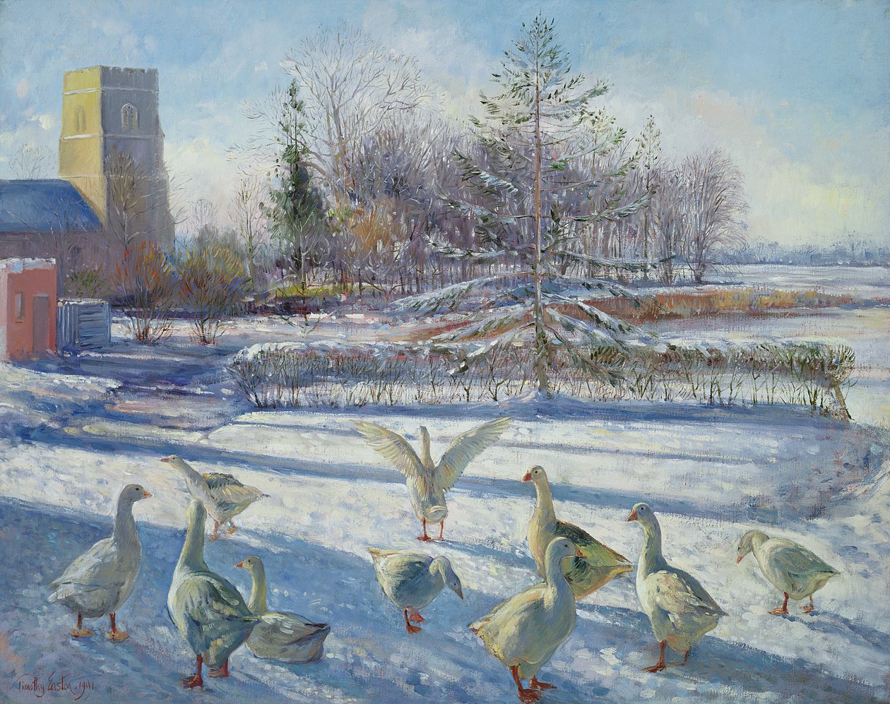 Snøgjess, vintermorgen av Timothy Easton