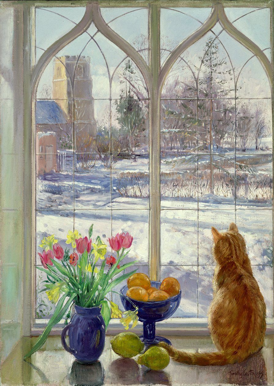 Snow Shadows og Cat av Timothy Easton