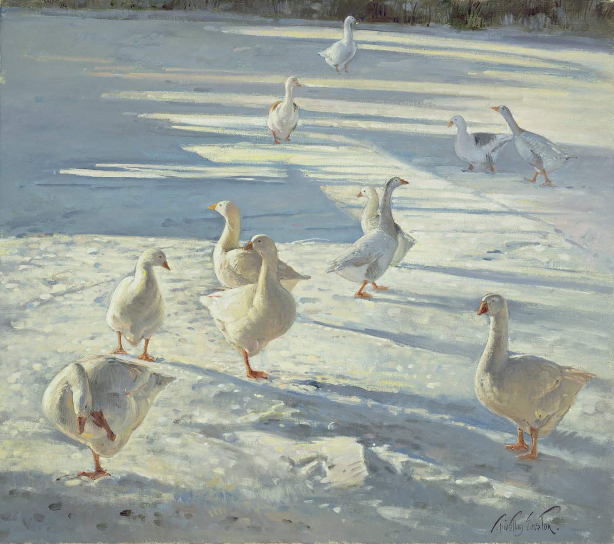 Samlingen av Timothy Easton
