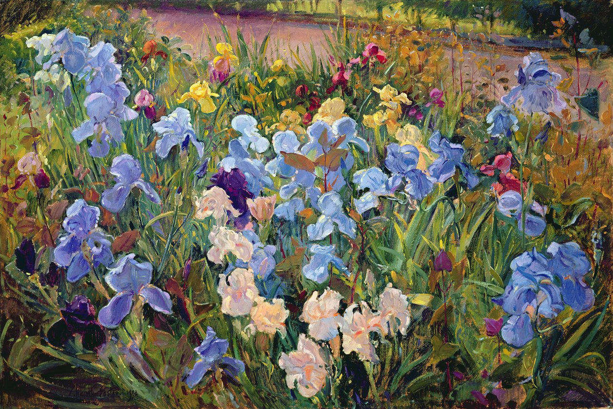 Irissengen, 1993 av Timothy Easton