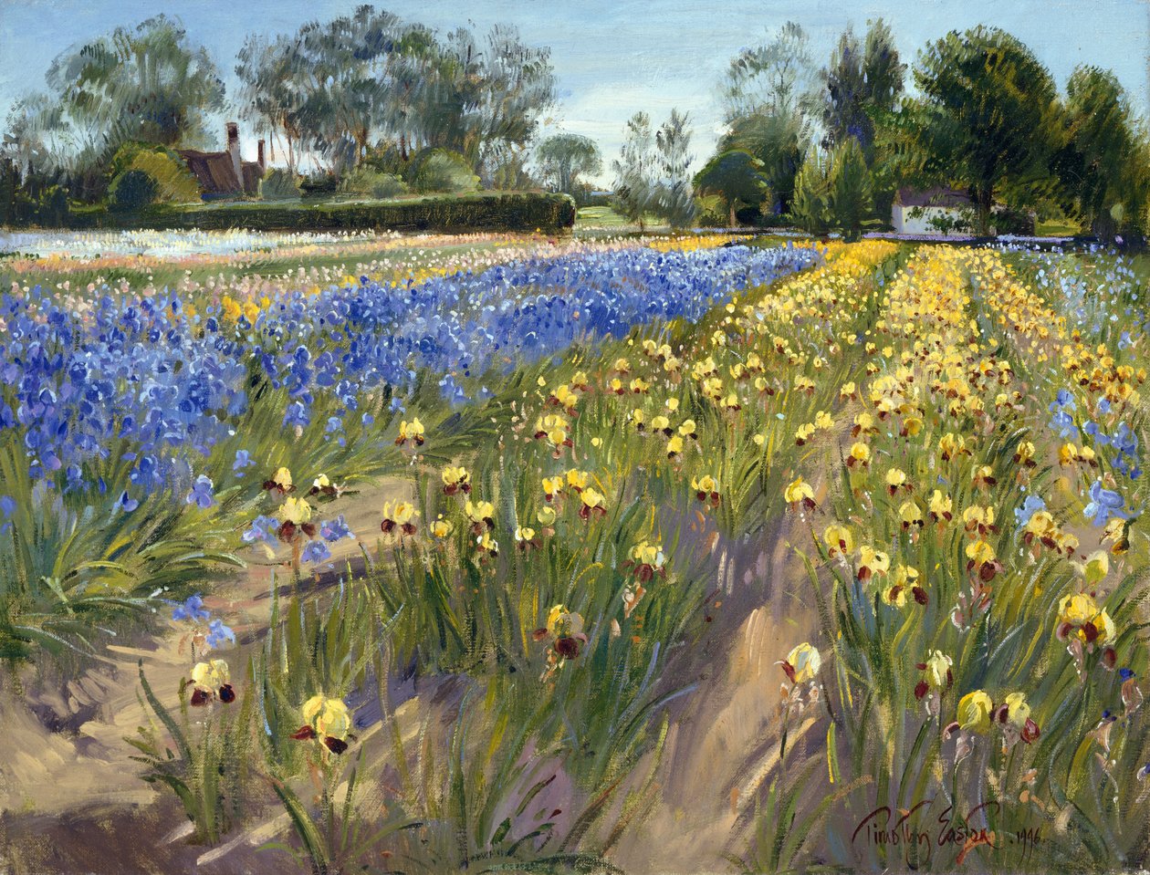 Mot den hvite låven, 1996 av Timothy Easton