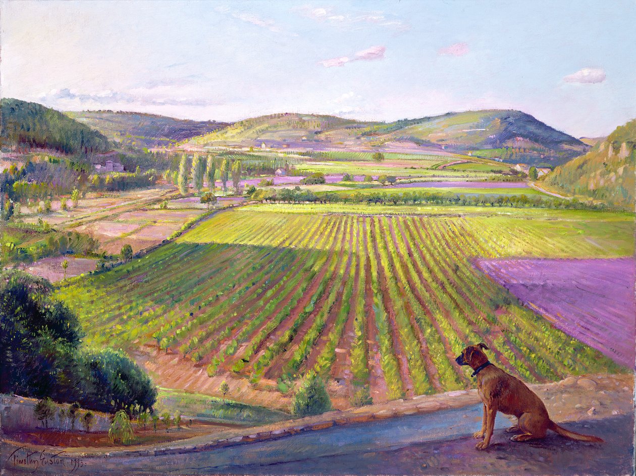 Ser fra veggene, Gamle Provence, 1993 av Timothy Easton