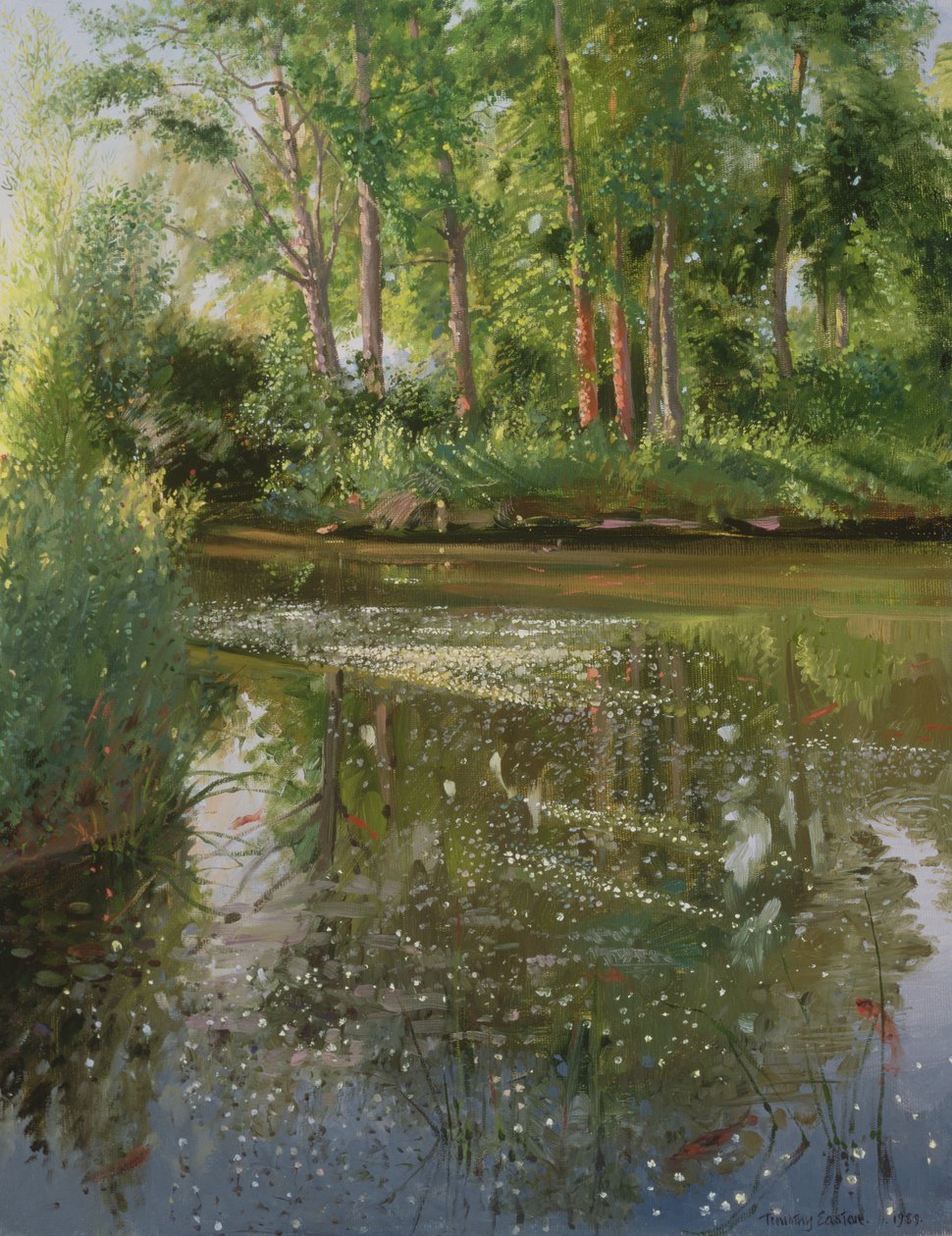 Vannblomster ved soloppgang av Timothy Easton
