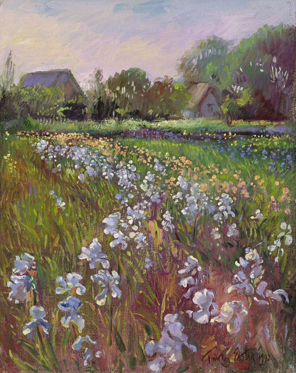 Hvite iris og gårdsplass av Timothy Easton