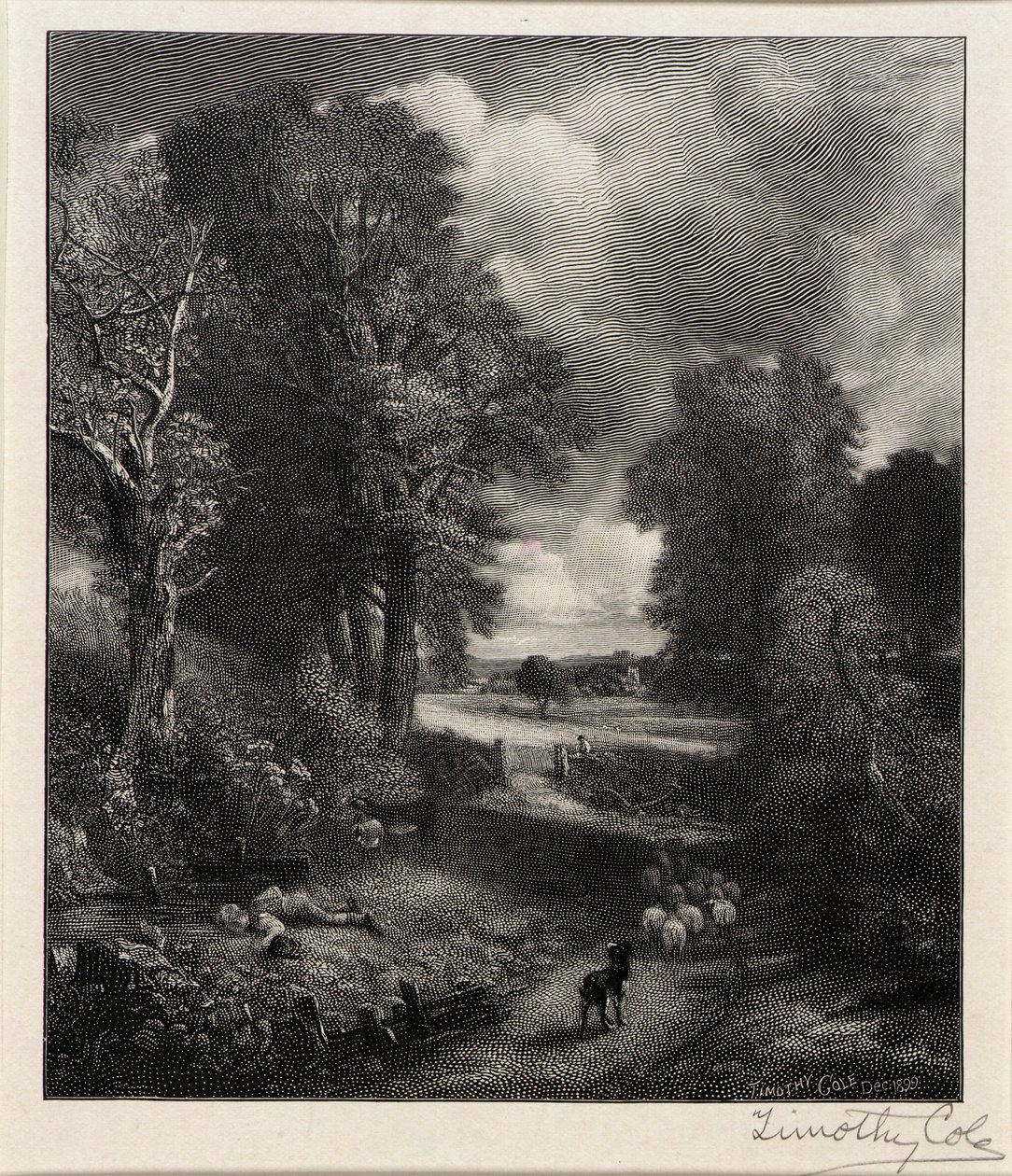  av Timothy Cole