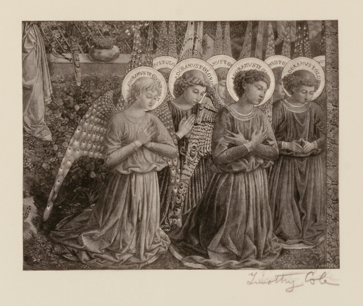  av Timothy Cole