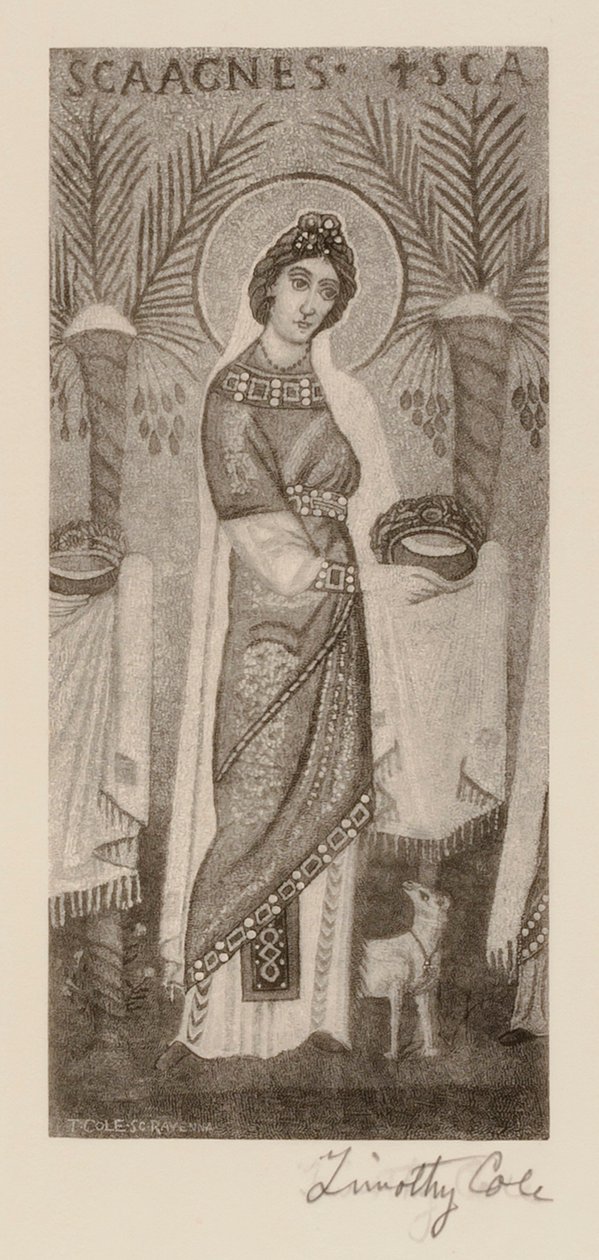  av Timothy Cole
