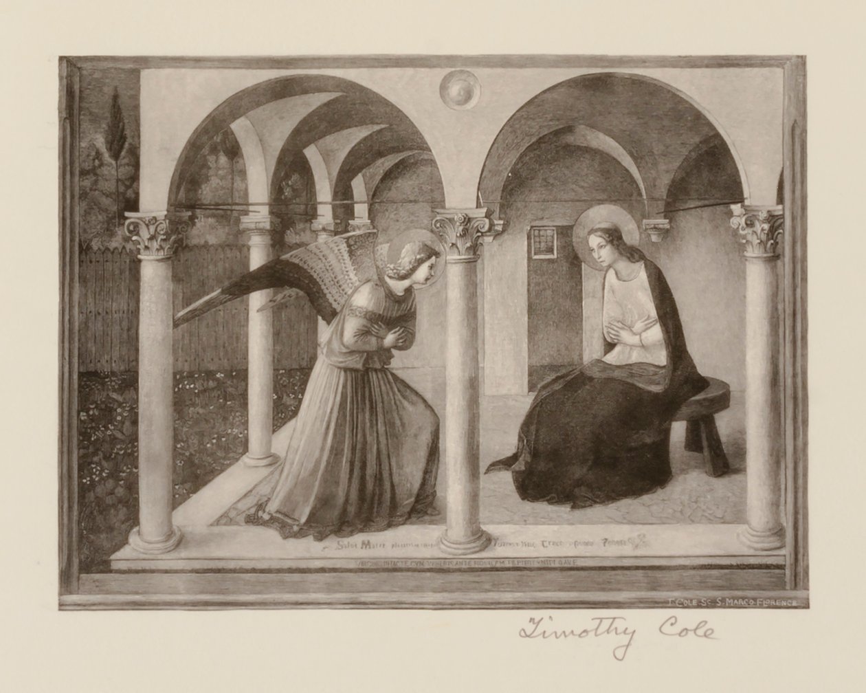  av Timothy Cole