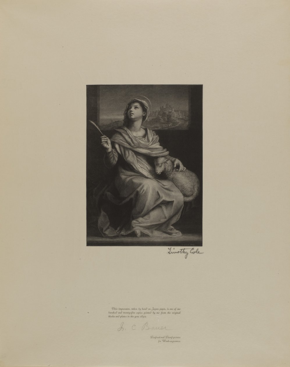  av Timothy Cole