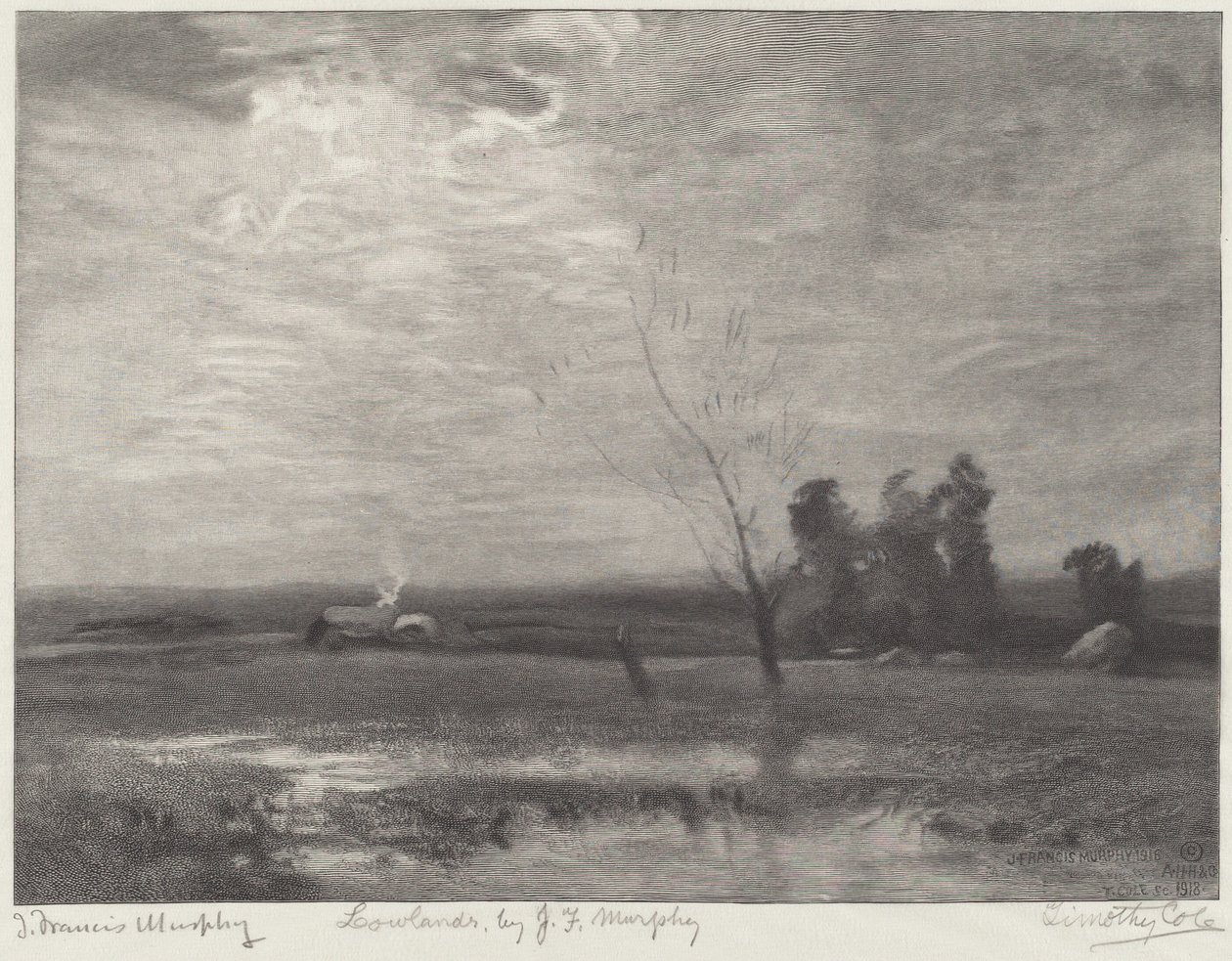 Lavlandet av Timothy Cole after John Francis Murphy