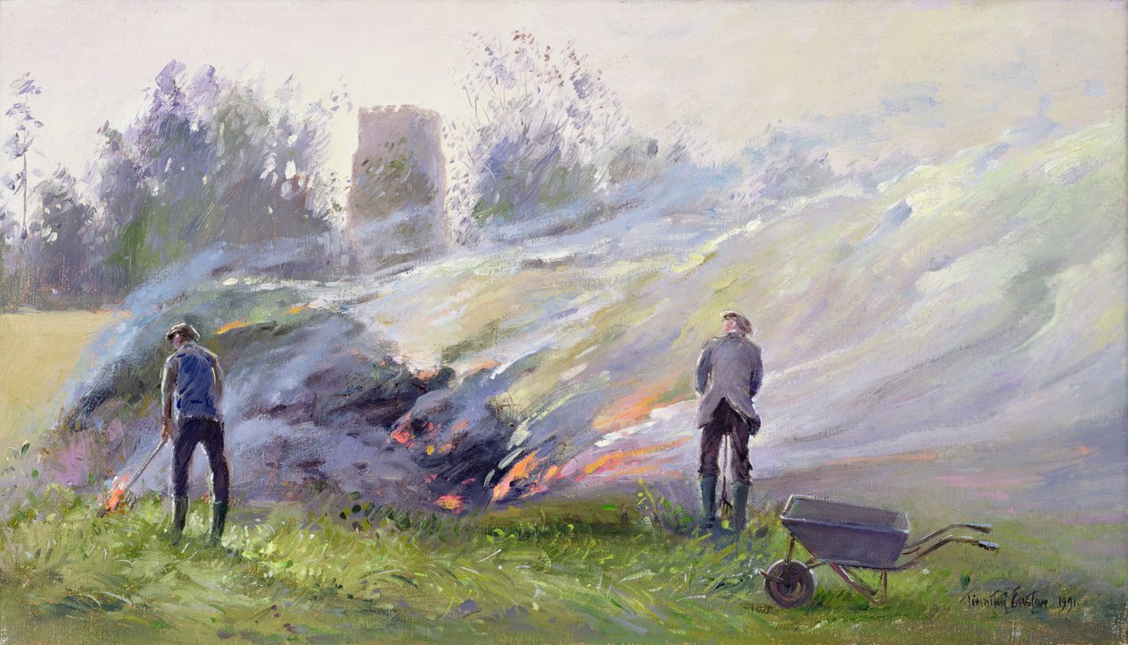 Høstbål av Timothy Easton