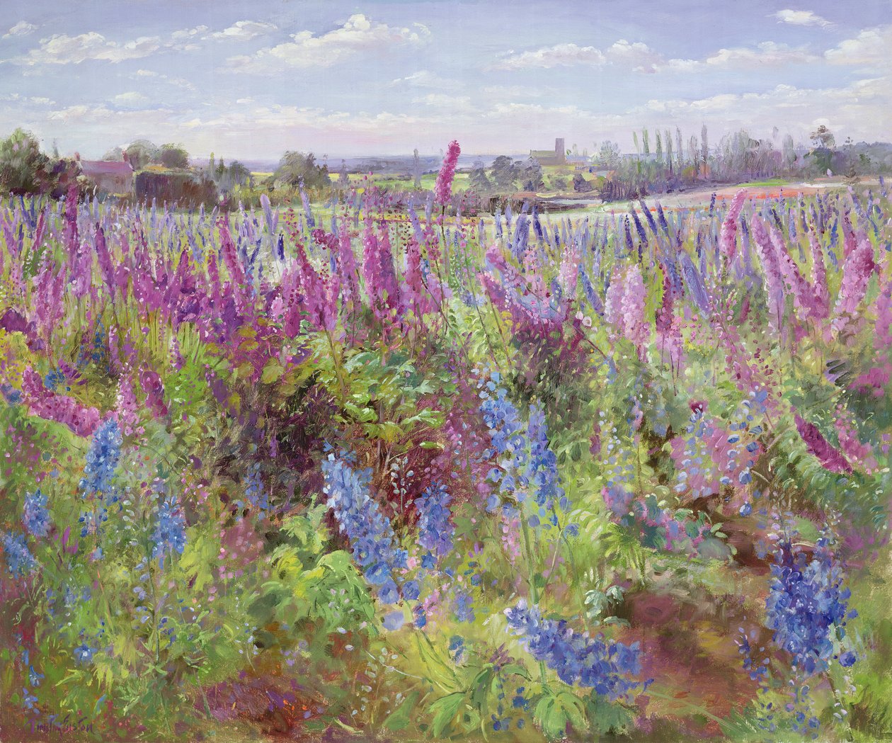 Delphinium felt og kirke av Timothy Easton