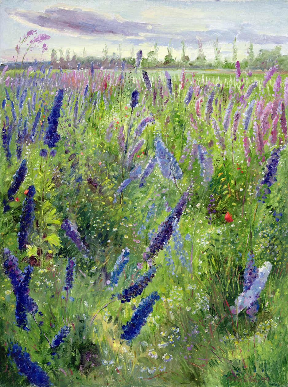 Delphiniums og Emerging Sun av Timothy Easton