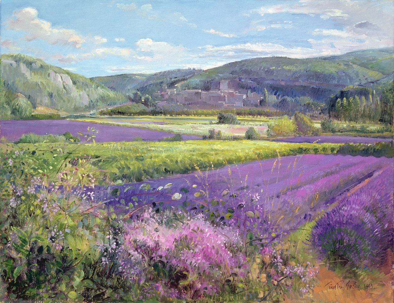 Lavendelmarker i gamle Provence av Timothy Easton