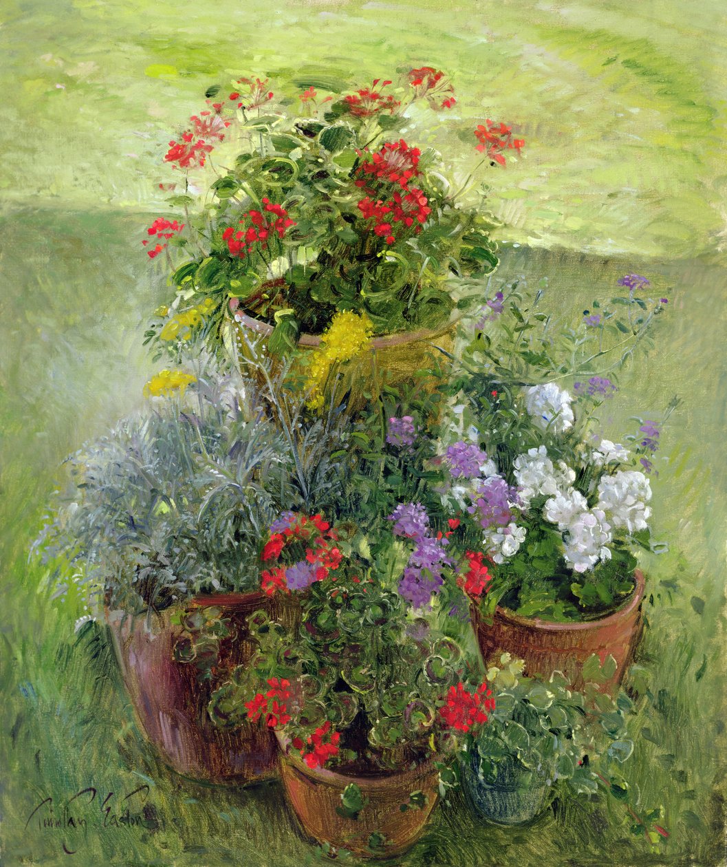 Shaded Pots (olje på lerret) av Timothy Easton