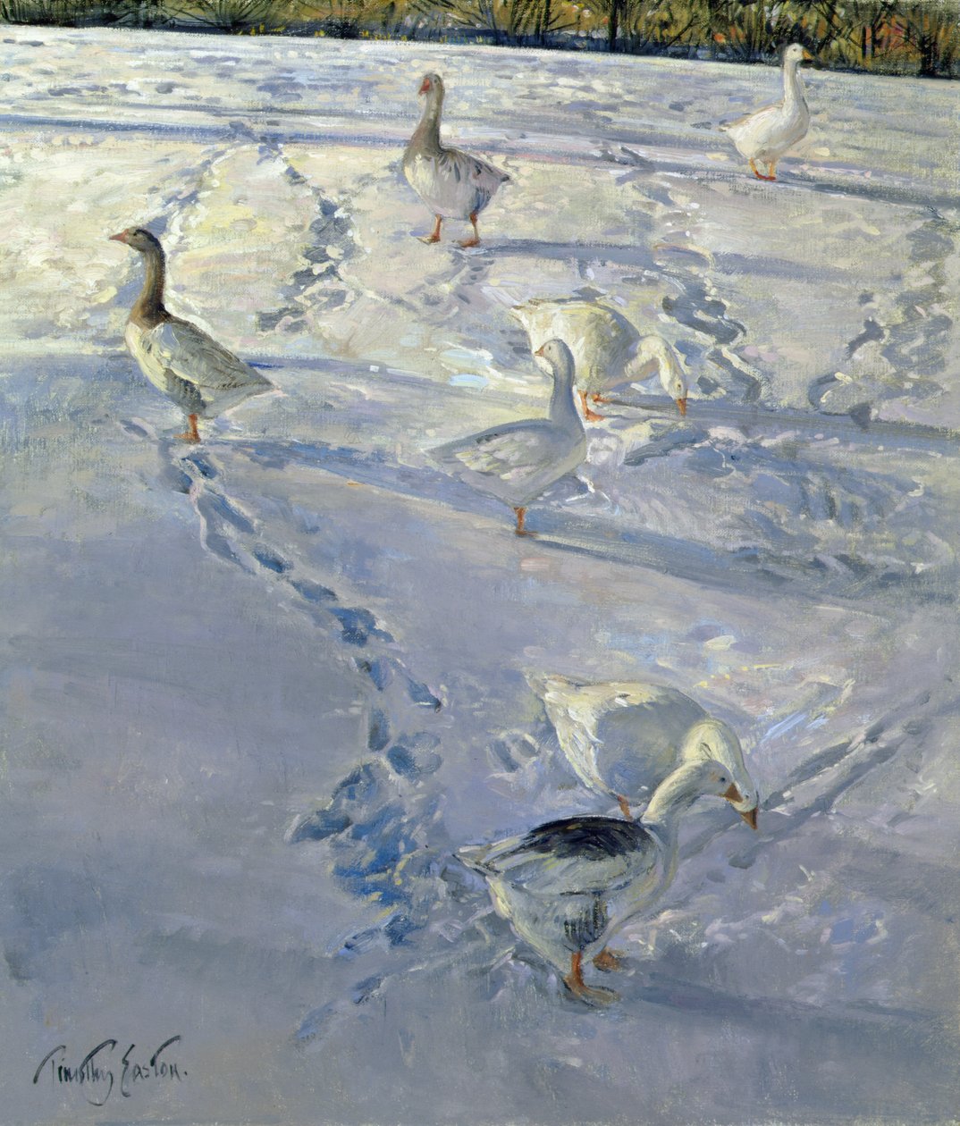 Shadows and Trackways (olje på lerret) av Timothy Easton