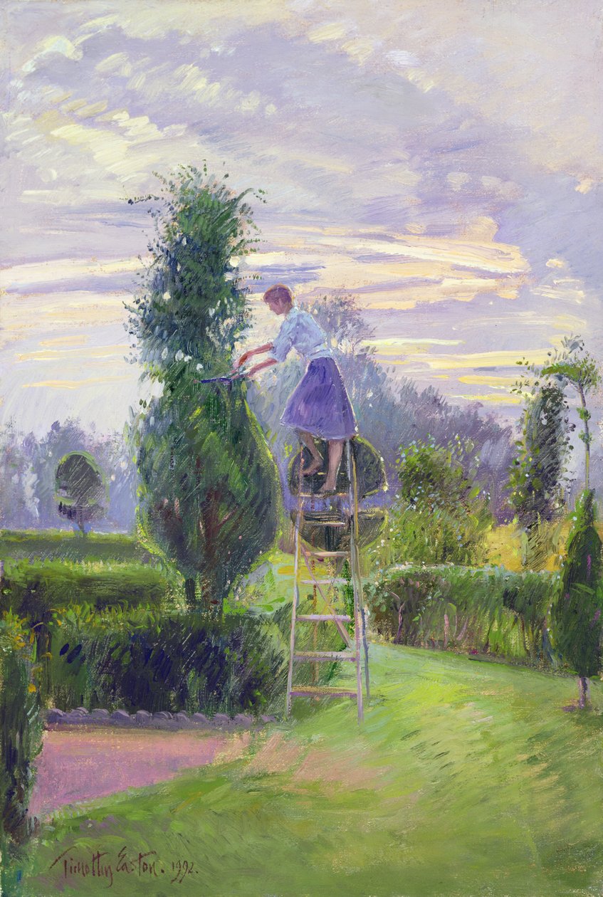 Den første trimmen av Timothy Easton