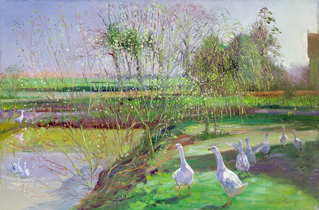 Pil og gjess av Timothy Easton
