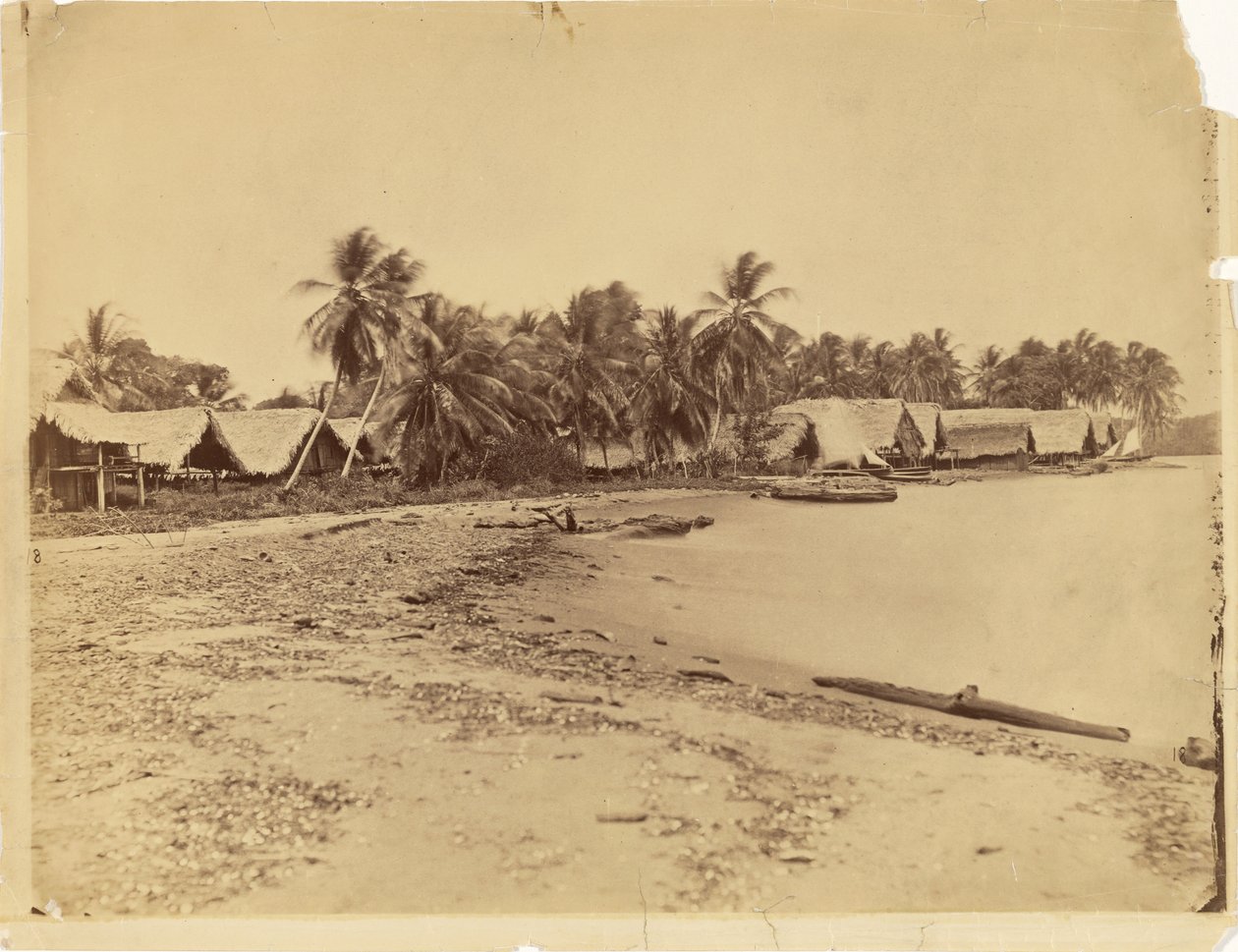 [Hytter, palmetrær og strand, Darién-eidet (Panama)] av Timothy H. O