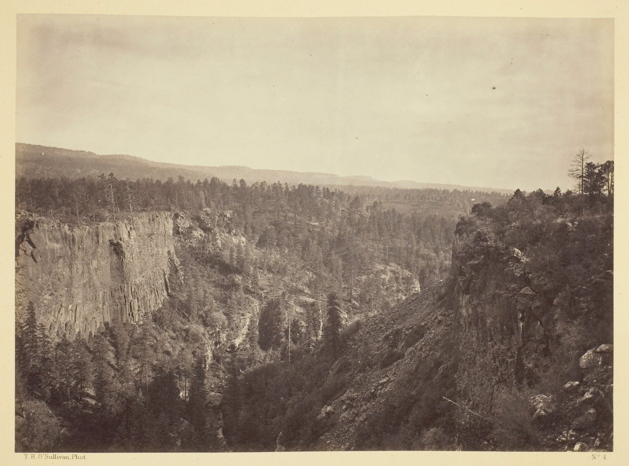 North Fork Canyon, Sierra Blanca Creek, Arizona av Timothy O
