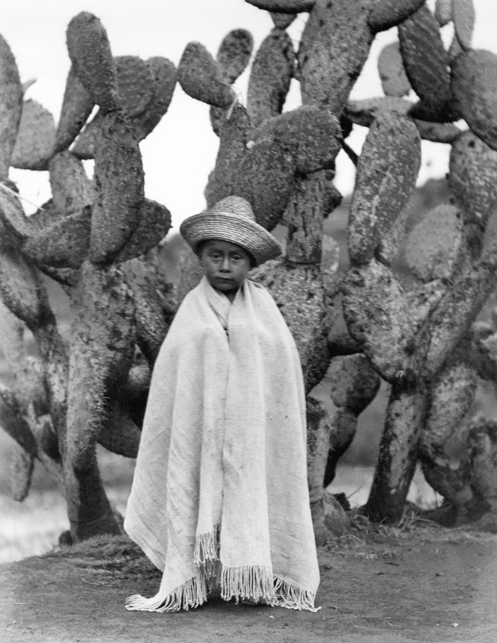 Gutt foran en kaktus, delstaten Veracruz, Mexico, 1927 (bw-bilde) av Tina Modotti