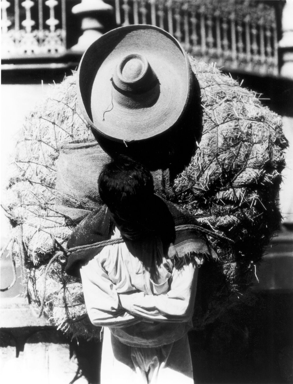 Campesino, delstaten Veracruz, Mexico, 1927 av Tina Modotti