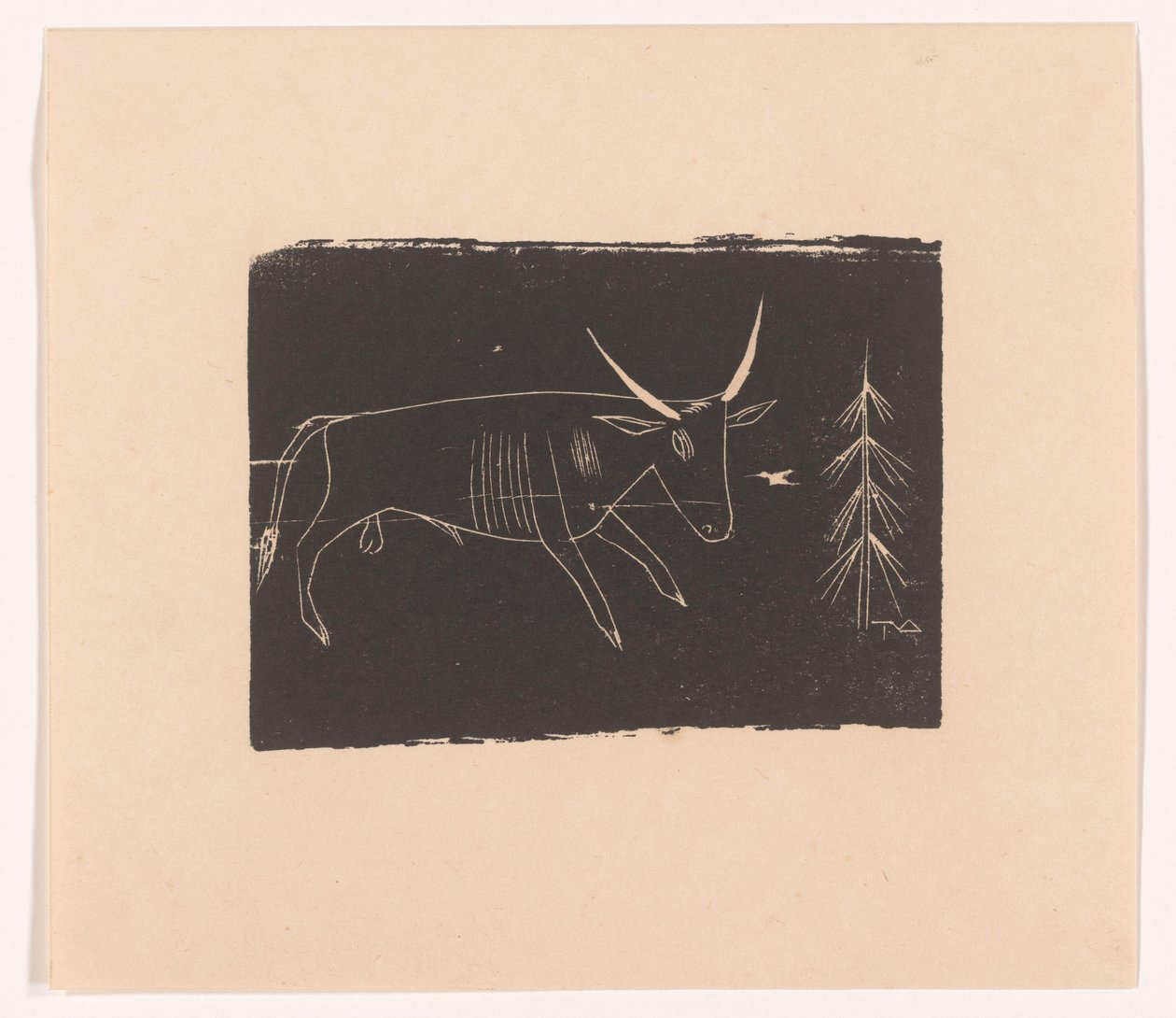 Stier av Tinus van Doorn (signed by artist)