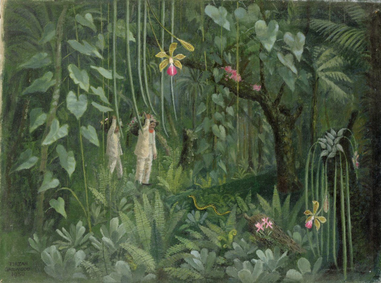 Orkidéjegere fra Brasil av Tirzah Ravilious