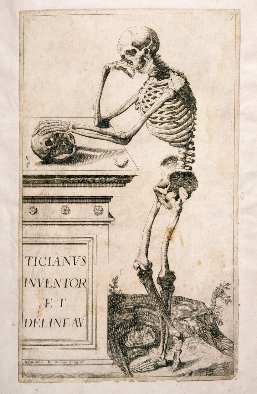 Anatomisk studie, av Domenico Maria Bonavera (f.1640) (etsing og tørrpunkt) av Tiziano Vecelli