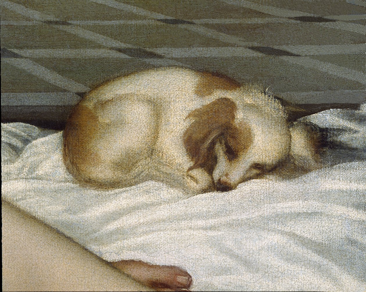 Venus of Urbino, før 1538 olje på lerret detalj av 291644 av Tiziano Vecelli