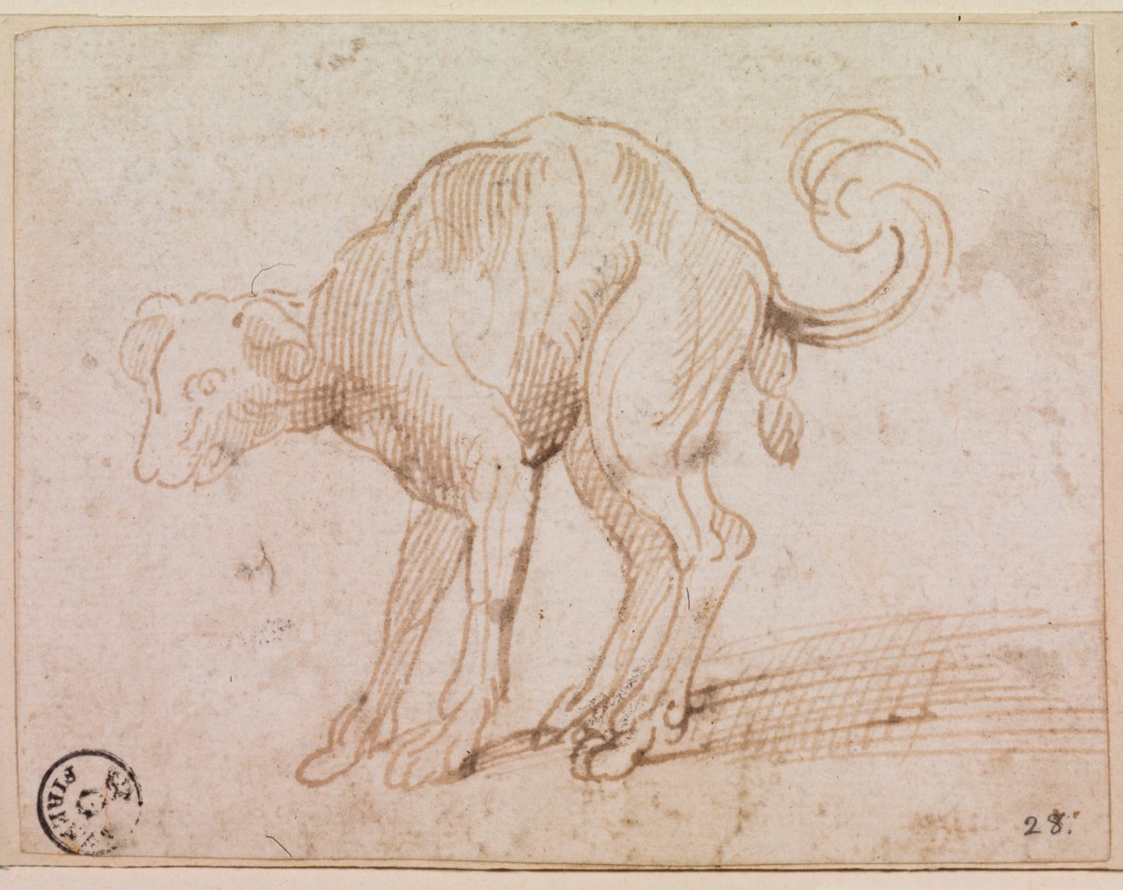  av Titian (c.1488 1576)