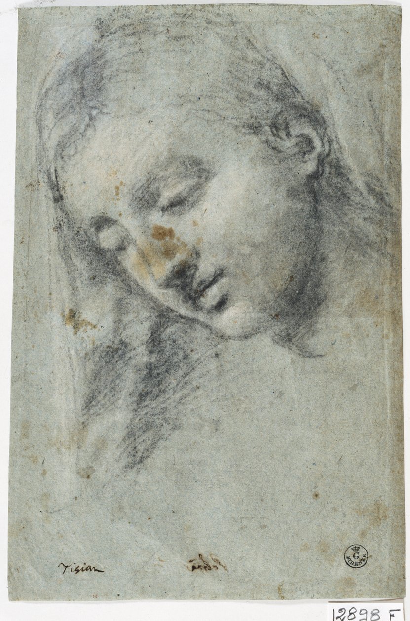 Head of a Woman (kull på papir) av Titian (c.1488 1576)
