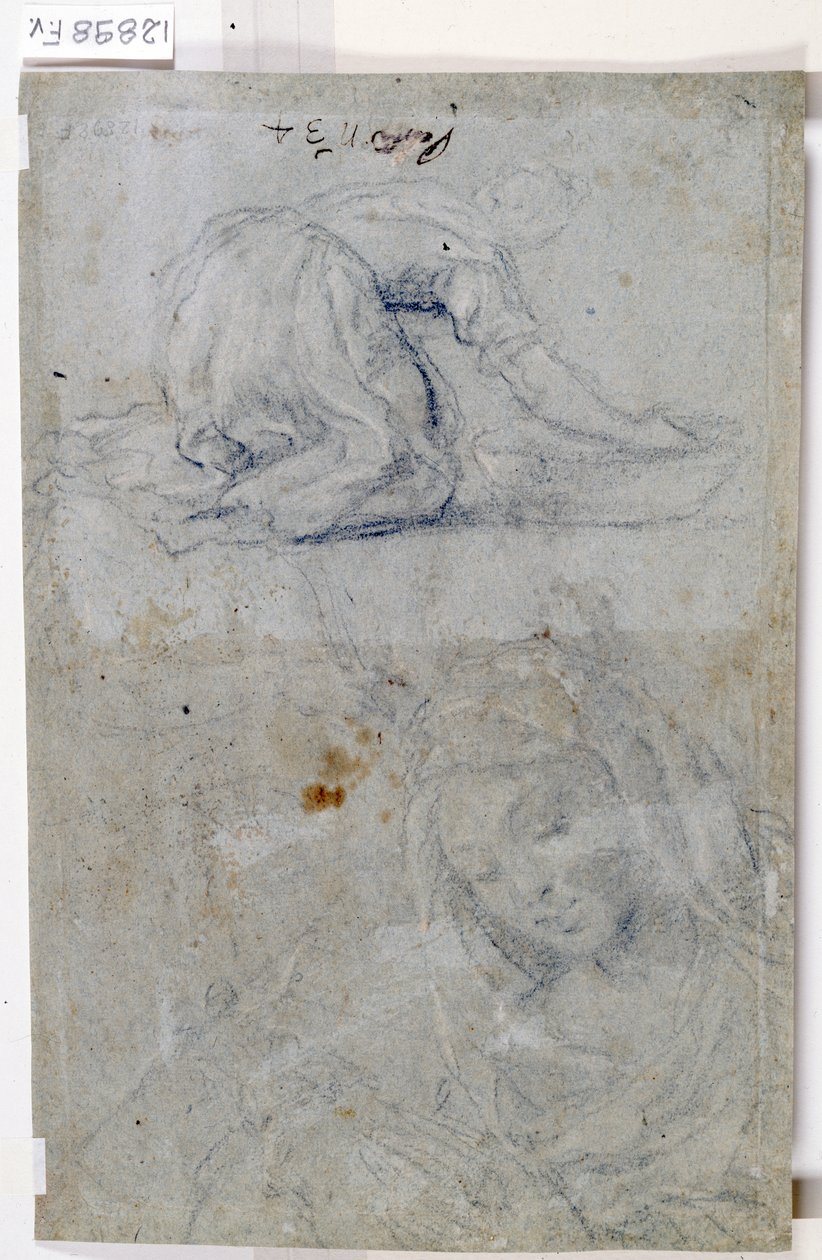 Studier av jomfruen (kull på papir) av Titian (c.1488 1576)