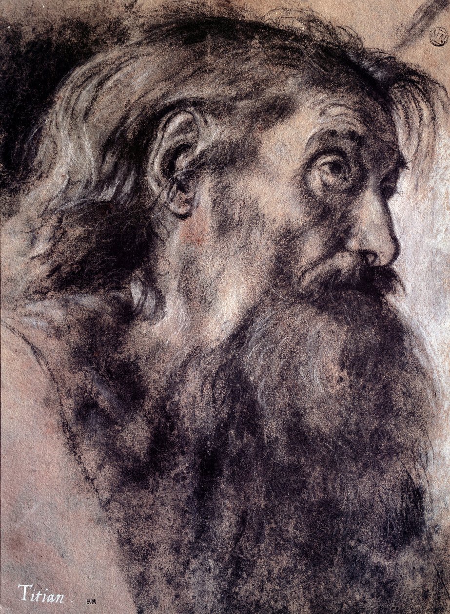 Gammel manns hode Tegning av Tiziano Vecellio kalt Titian (1485-1576) Paris fra 1500-tallet, Louvre-museet av Titian (c.1488 1576)